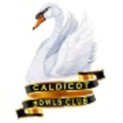 (c) Caldicotbowlsclub.com